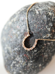Lucky horse shoe necklace