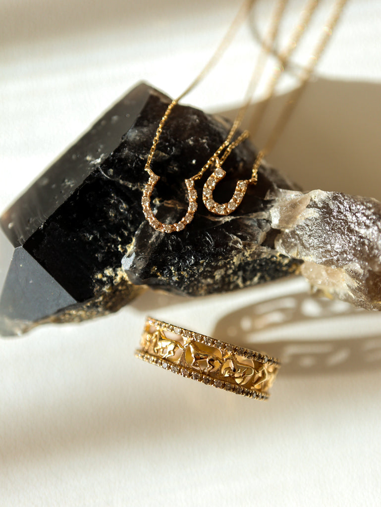 Lucky horse shoe necklace